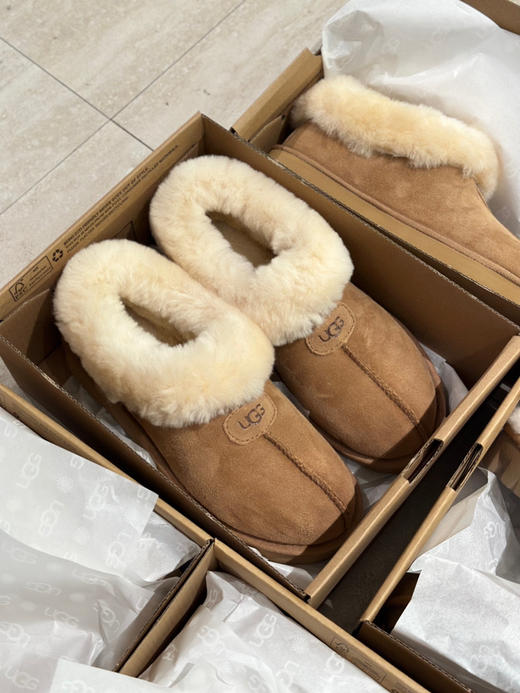 发货实拍📦
199🉐️
塔茨特经典款 商品图2