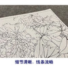【大彩图】李晓明工笔白描底稿斗方小品《黑剪绒》牡丹临摹勾线花鸟线稿K035 商品缩略图4