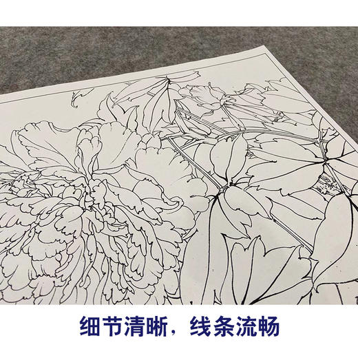 【大彩图】李晓明工笔白描底稿斗方小品《黑剪绒》牡丹临摹勾线花鸟线稿K035 商品图4