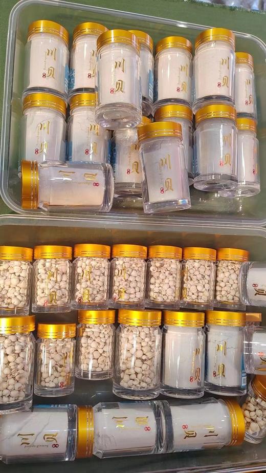 藏地干货｜野生川贝母 自然生长 原色川贝 无熏硫 商品图4