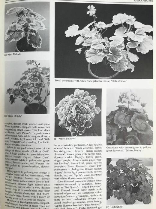 纽约植物园图解园艺百科全书（卷5） 数百幅插图 精装大16开 商品图11