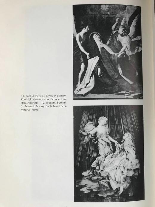 文本之眼：从矫饰主义到现代的感知随笔 62幅插图 精装18开 商品图10