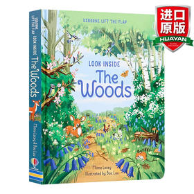 Look Inside the Woods 英文原版绘本 偷偷看之森林里 英文版 纸板书