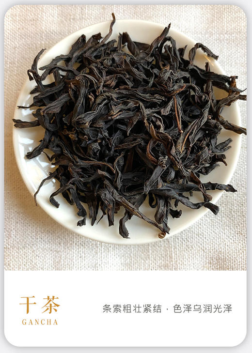 凤凰单枞 | 2023年 正春 宋种100G/罐 商品图1