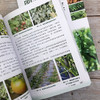 图说有机蔬菜绿色栽培 商品缩略图6