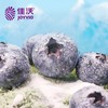 佳沃进口蓝莓 约125g/盒 14+ 商品缩略图2