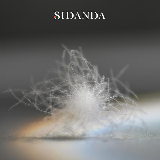 【SIDANDA可水洗鹅绒春秋被+冬被】优选国标最高绒子含量填充，95%白鹅绒，蓬松度800+，清洁度1000+抗菌可水洗纺 商品图5