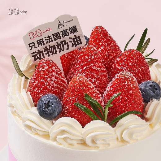 迷你多肉草莓蛋糕  | 36 CAKE 商品图1