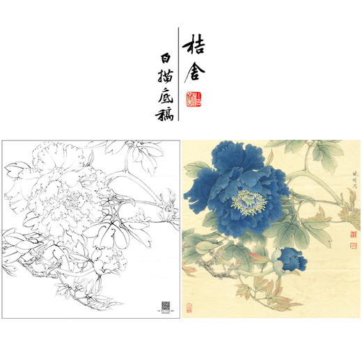 【大彩图】李晓明工笔画白描底稿斗方小品《蓝牡丹》临摹勾线花鸟线稿K037 商品图0