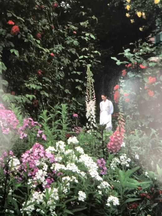 世界花园：园艺艺术与实践 约百幅彩色插图 精装16开 商品图7