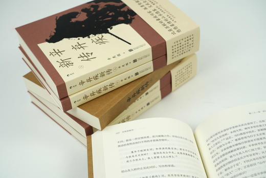 《辛弃疾新传》2册（赠“辛弃疾词”诗词手账本） 比肩苏轼的豪放词家，孤勇坚毅的忠臣良将。 商品图3