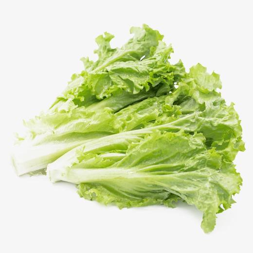 生菜（约500g/份） 商品图0