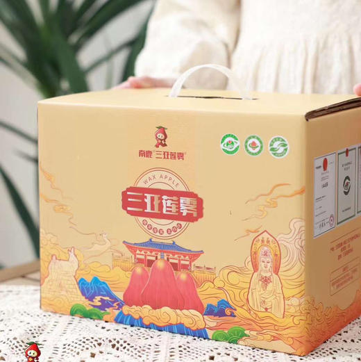 南鹿一号有机莲雾顺丰空运包邮下单从三亚发货 商品图1