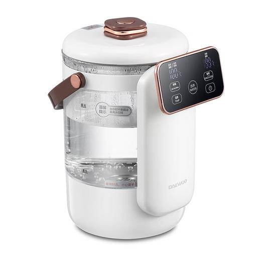 大宇（DAEWOO）电热水壶家用2.5L容量多段控温泡奶电热开水瓶DYSP-25F01 商品图8