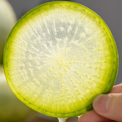 天津沙窝萝卜|甜辣爽口，细嫩少渣，一口嘎嘣脆 商品图5