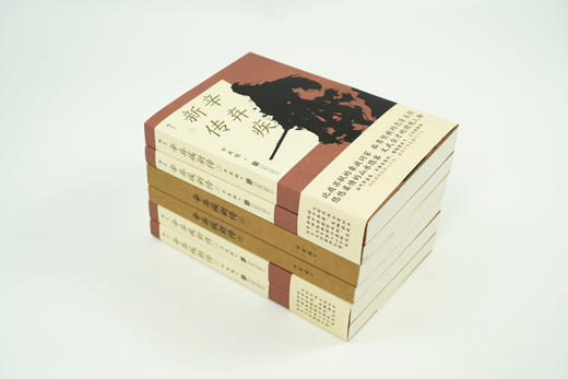 《辛弃疾新传》2册（赠“辛弃疾词”诗词手账本） 比肩苏轼的豪放词家，孤勇坚毅的忠臣良将。 商品图2