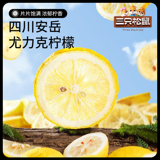 【99元任选18件】茶_冻干柠檬片/25g 商品图1