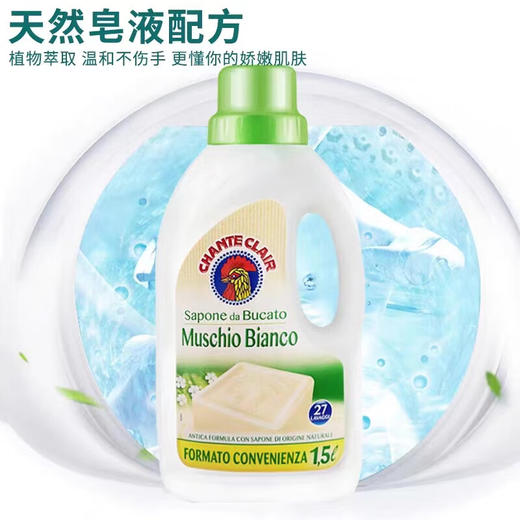 CHANTECLAIR 大公鸡管家液态洗衣皂（白苔香味） 1.5L 花香型持久留香洗衣液 商品图4