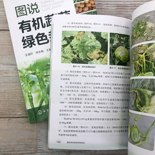 图说有机蔬菜绿色栽培 商品图9