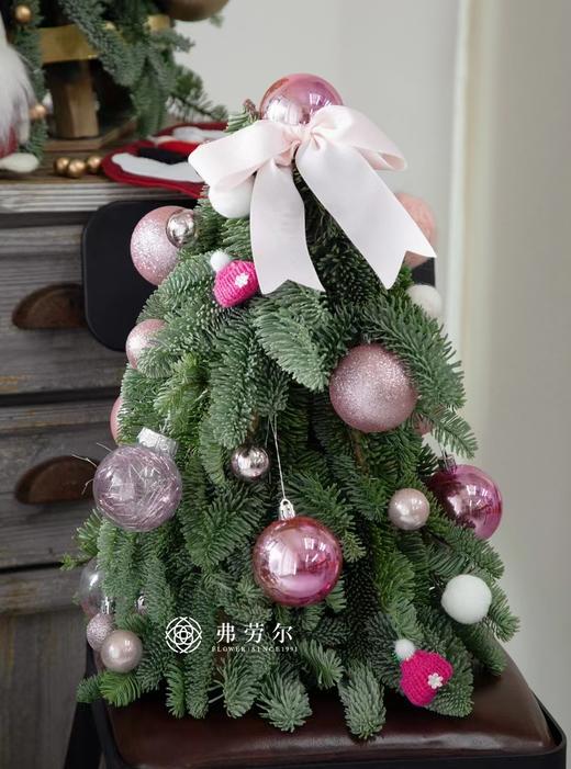 2023圣诞精致诺贝松【40*20cm】 商品图3