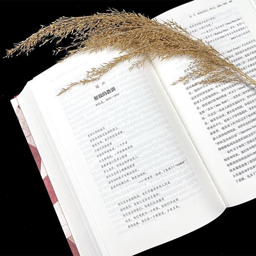 美利坚帝国 商品图2