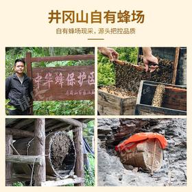 捷氏蜂社土蜂蜜礼盒1500g