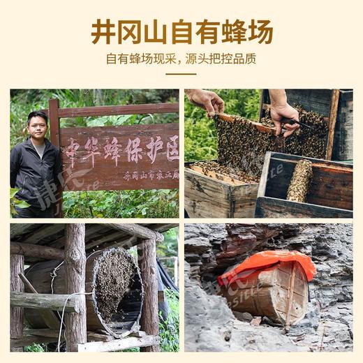 捷氏蜂社土蜂蜜礼盒1500g 商品图0