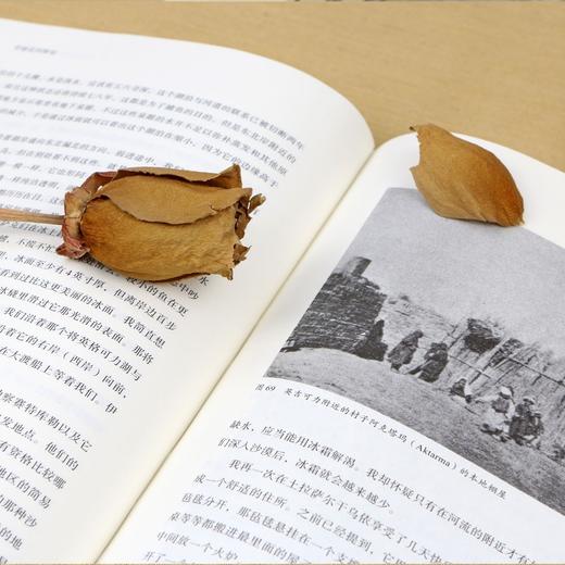 【特价】穿越亚洲腹地 （上下卷）（瑞典）斯文·赫定 著 商品图1