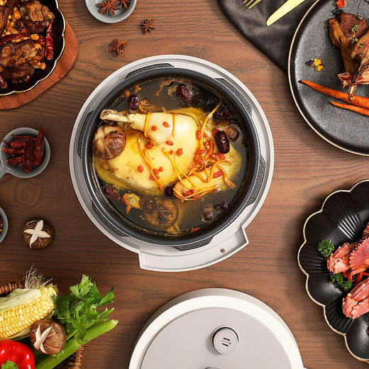 大宇（DAEWOO） 高压炖煮家用智能多功能4L电压力锅DYYL-4027 商品图5