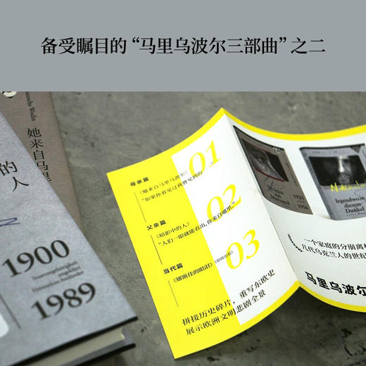 暗影中的人 聚焦战后庞大群体—前东方劳工，现流离失所者（一个家庭的分崩离析 几代乌克兰人的世纪悲歌） 商品图2