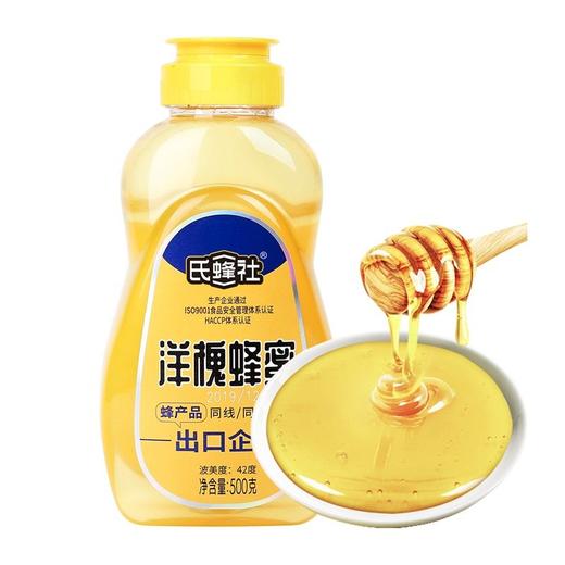 捷氏洋槐蜂蜜（平嘴塑瓶）500g 商品图2