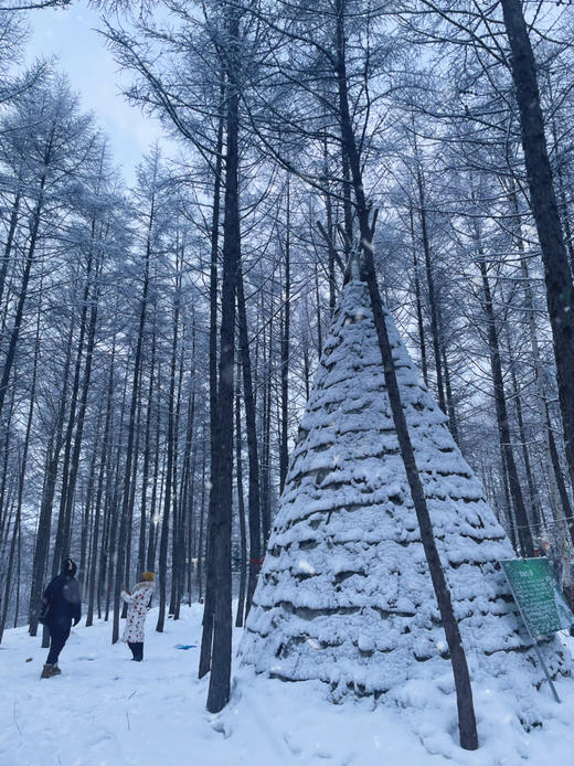 【梦幻雪国】7天6晚穿越1200公里的雪国浪漫，东北雪季 定金专拍 商品图7