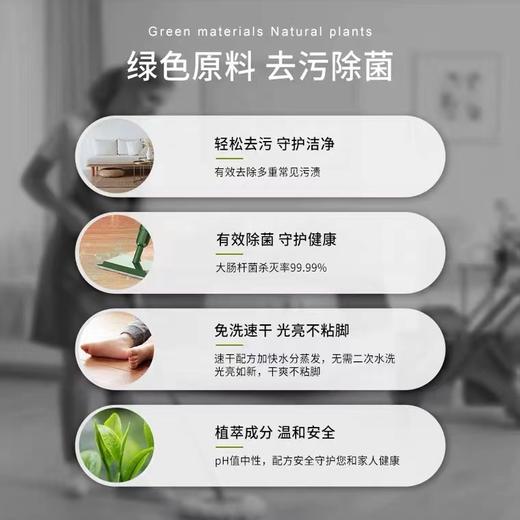 B1F【化洗】地板清洁剂绿茶味   规格：1L 商品图1