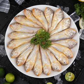 舟山野生梅童鱼（一斤装）