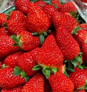 新鲜草莓 15枚约660g |水果