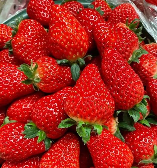 新鲜草莓 15枚约660g |水果 商品图0