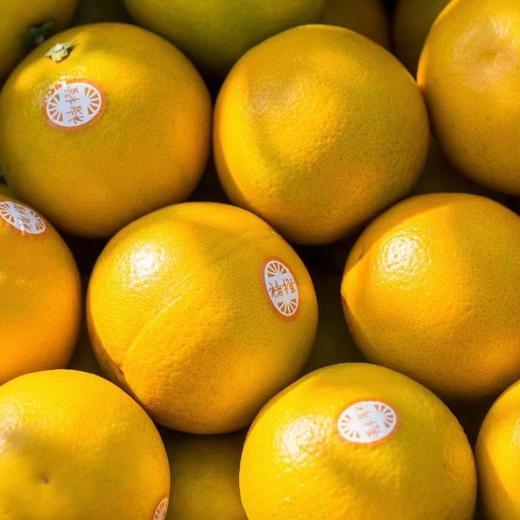 褚氏农业 褚橙 商品图2