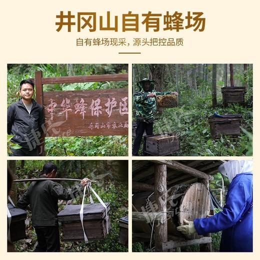 捷氏蜂蜜900g 商品图0