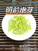 颗颗独芽【雀舌茶100g清香味】采摘早春嫩芽 四川高山绿茶 清香四溢 明前高档茶叶 商品缩略图5