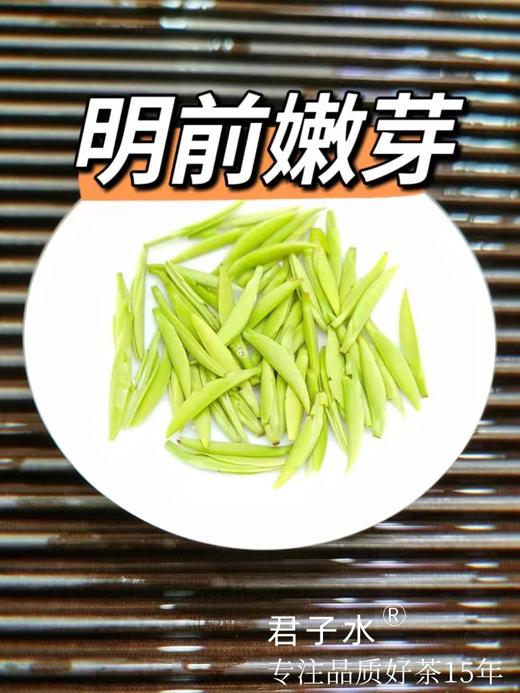 颗颗独芽【雀舌茶100g清香味】采摘早春嫩芽 四川高山绿茶 清香四溢 明前高档茶叶 商品图5