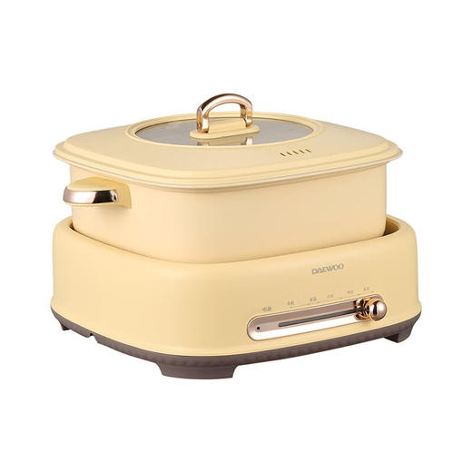 大宇（DAEWOO）电火锅大容量家用分体式多功能蒸煮锅DYZG-5030 商品图7