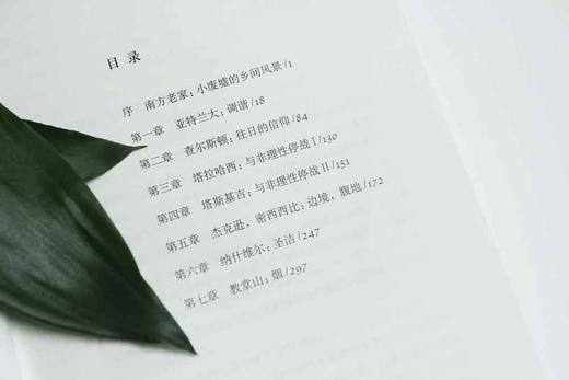 南方的转折 商品图2