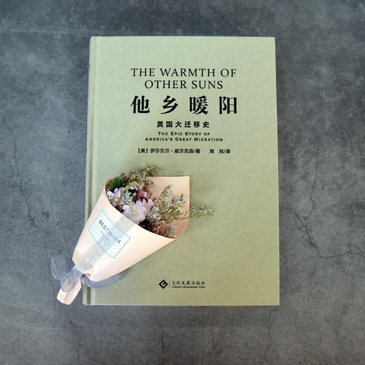 他乡暖阳 商品图1