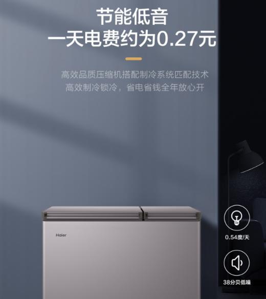 海尔双温冰柜215升 冷冻冷藏 双门双箱大冷柜 一级能效 大容量无需除霜 FCD-215GHXPC 商品图4