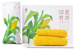 田里有草 甜糯玉米 鲜香软糯165克/根 10根/箱 FX-A-427-231124