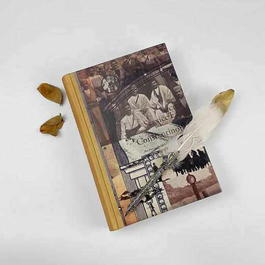 新大博弈：一战中亚争霸记 商品图1