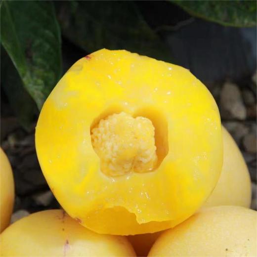 【顺丰/京东】树上熟人参果 清甜的汁水瞬间充斥味蕾  好吃回味 - ATX 商品图3