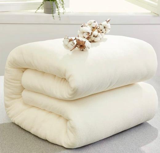 原产地 新疆长绒棉被100%新疆棉 商品图1