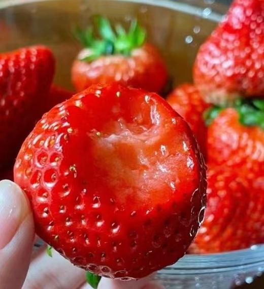 新鲜草莓 15枚约660g |水果 商品图1