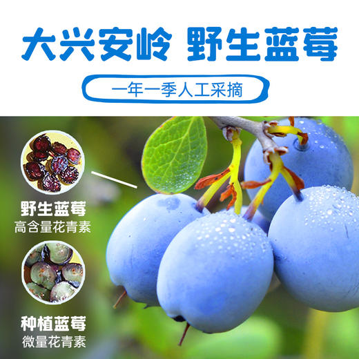 【精选蓝莓】北极蓝野生蓝莓越桔果酱180g*2瓶 商品图1